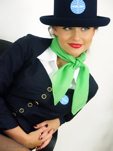 carla brown air hostess striptease pinup wow fantasy cosplay