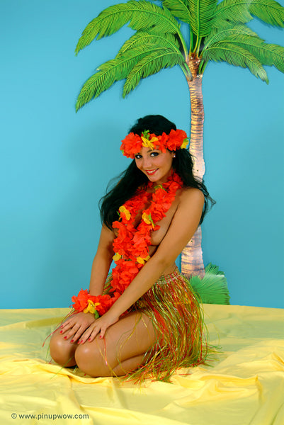 rachael_aloha pin-up glamour photo 53 of 109
