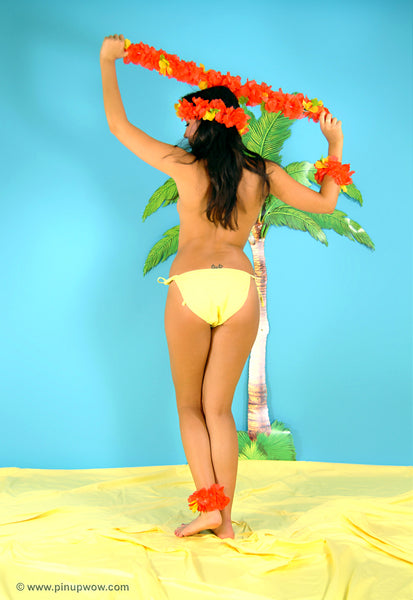 rachael_aloha pin-up glamour photo 83 of 109