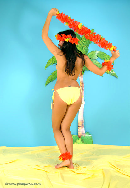 rachael_aloha pin-up glamour photo 84 of 109